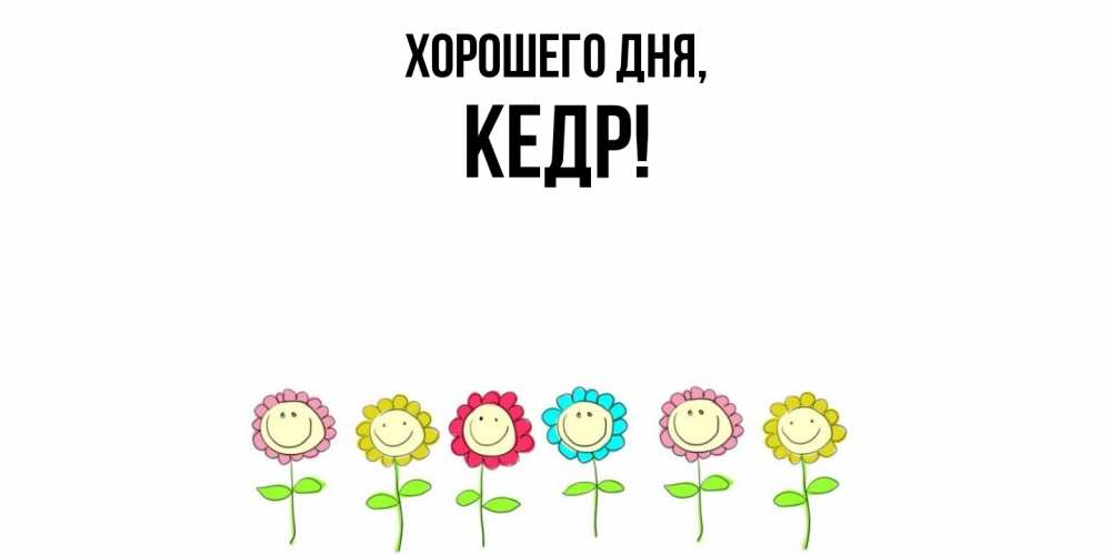 Открытка  для любимых и родных. кедр, Хорошего дня  