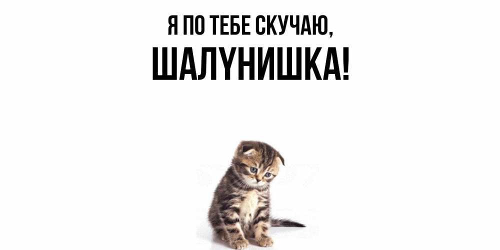 Картинка Я по тебе скучаю, шалyнишка