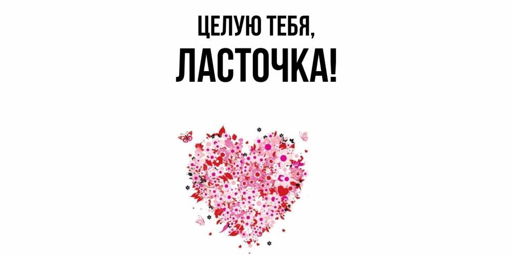 Открытка  для любимых и родных. ласточка, Целую тебя  