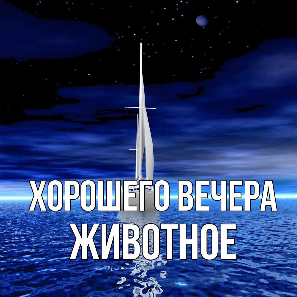 Картинка Хорошего вечера, животное