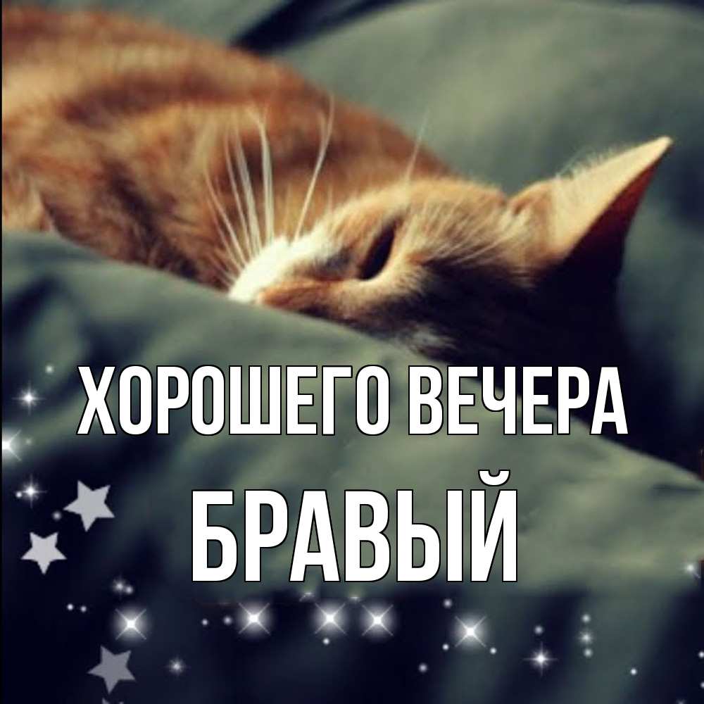 Картинка Хорошего вечера, бравый