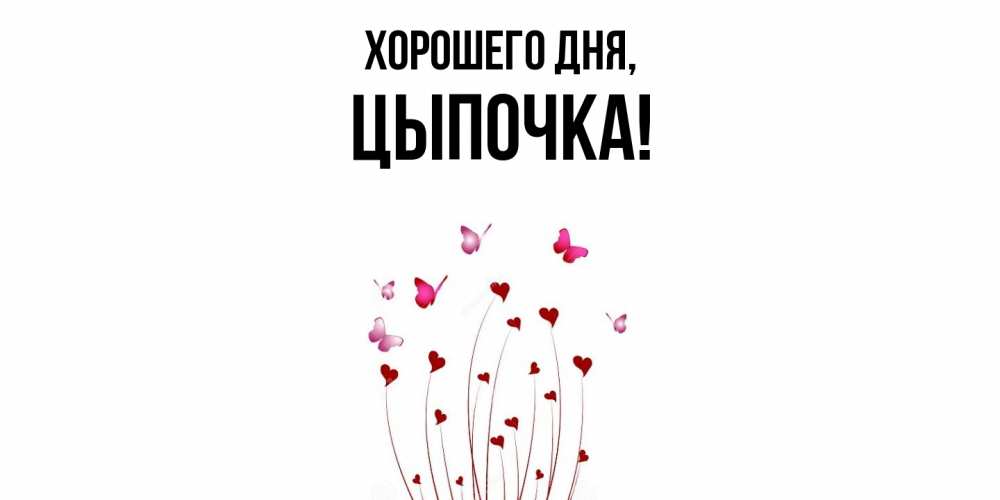 Открытка  для любимых и родных. цыпочка, Хорошего дня  