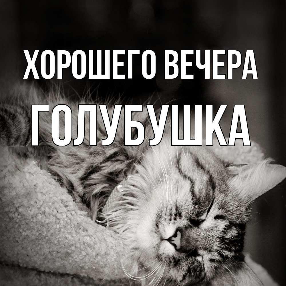 Картинка Хорошего вечера, голубушка