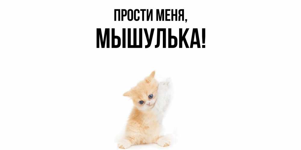 Картинка Прости меня, мышулька