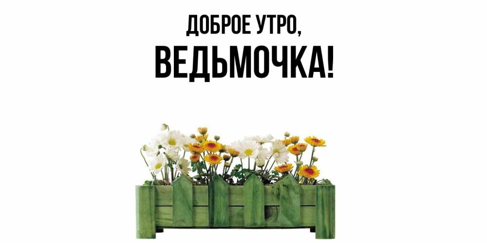Открытка  для любимых и родных. ведьмочка, Доброе утро  