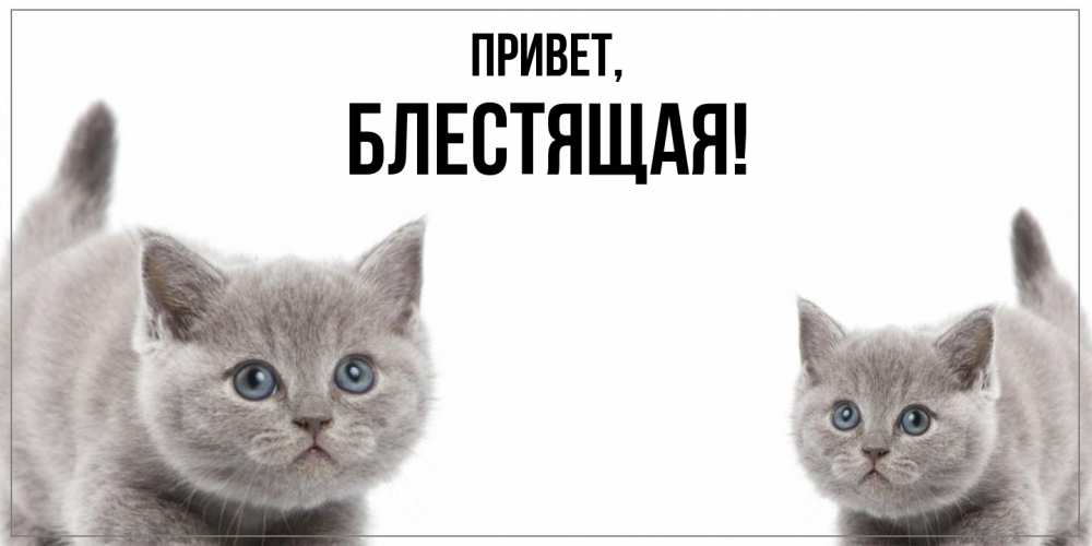 Открытка  для любимых и родных. блестящая, Привет  