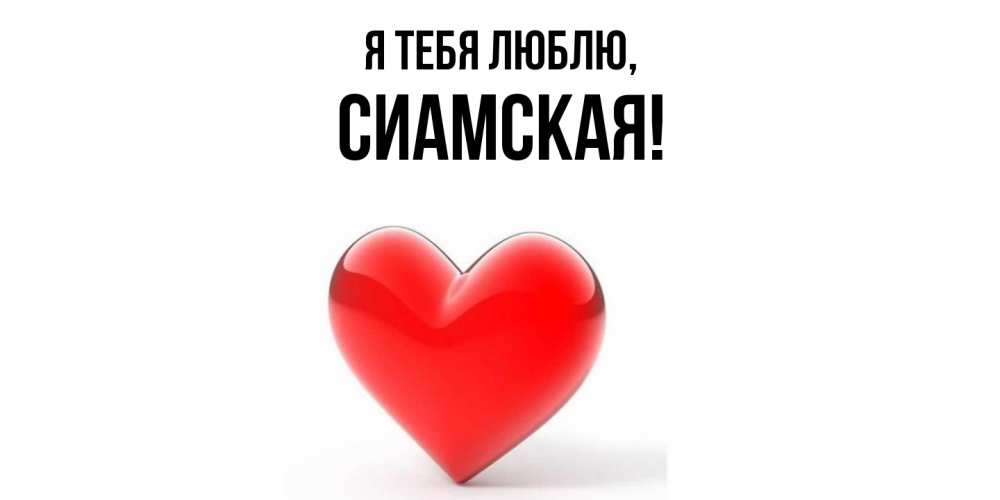 Картинка Я тебя люблю, сиамская