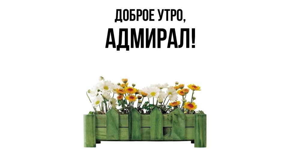 Открытка  для любимых и родных. адмирал, Доброе утро  