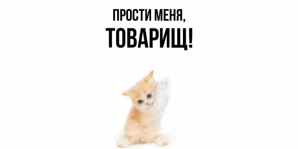 Картинка Прости меня, Товарищ