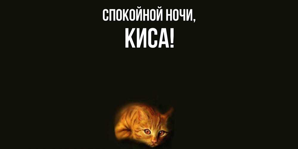Открытка  для любимых и родных. киса, Спокойной ночи  