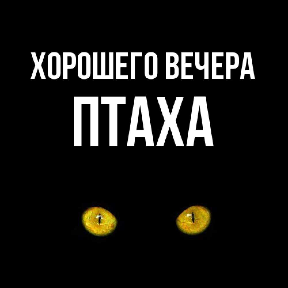 Картинка Хорошего вечера, птаха