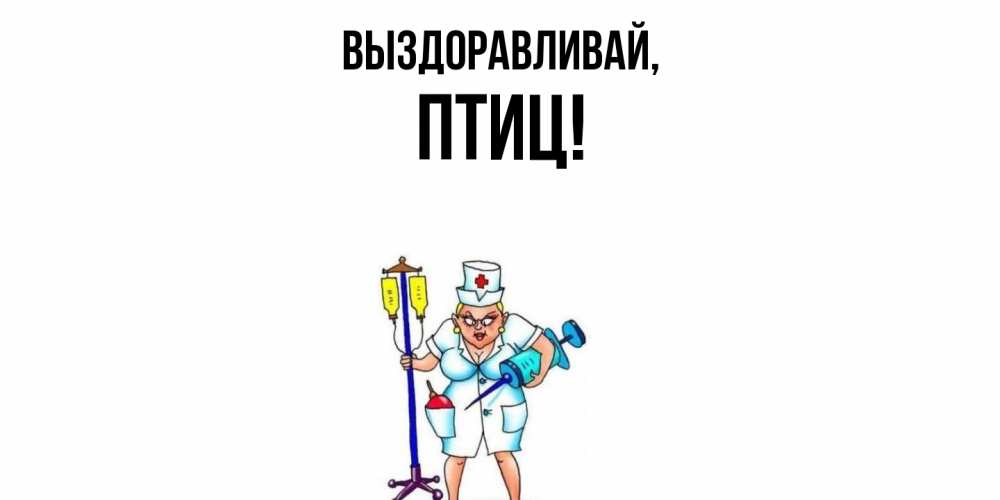 Открытка  для любимых и родных. птиц, Выздоравливай  