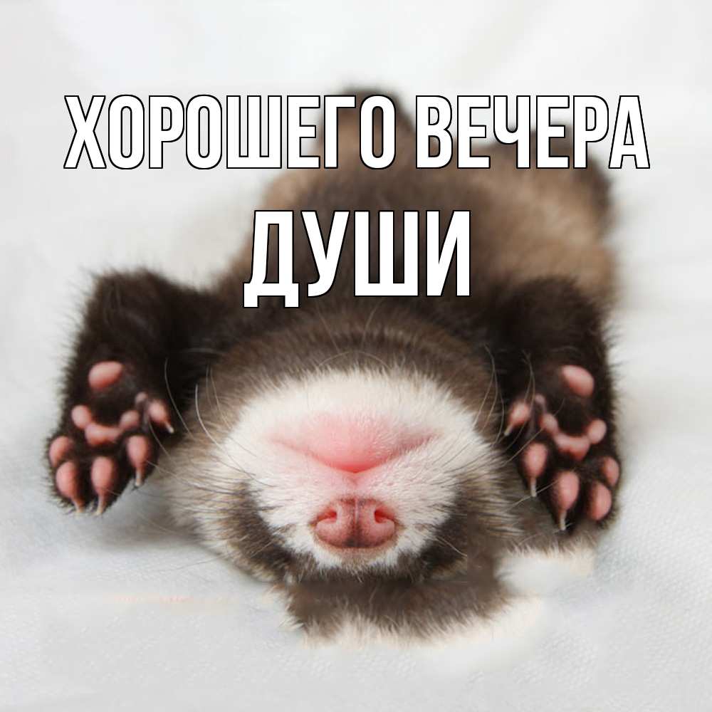 Открытка  для любимых и родных. души, Хорошего вечера  