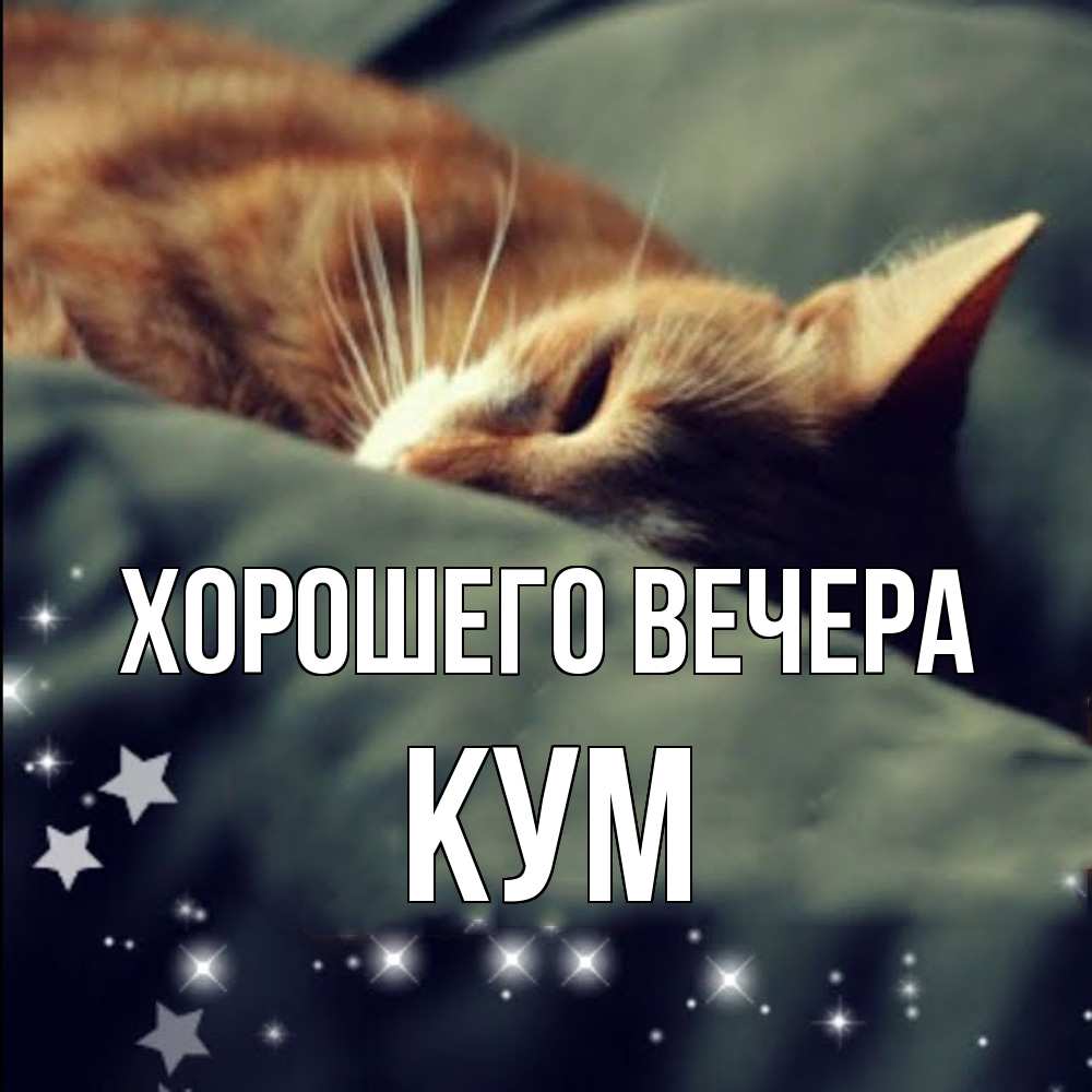 Картинка Хорошего вечера, Кум