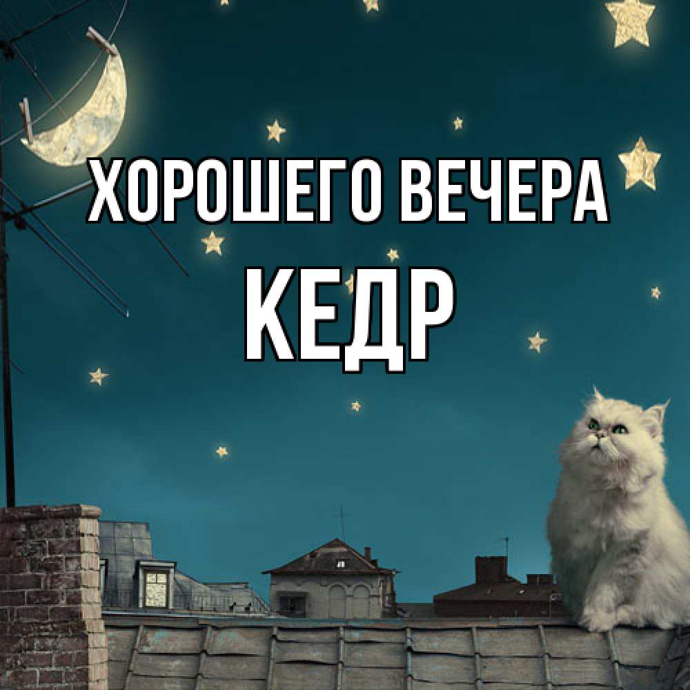 Картинка Хорошего вечера, кедр
