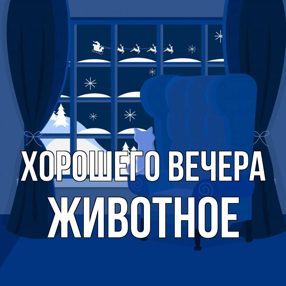 Открытка  для любимых и родных. животное, Хорошего вечера  