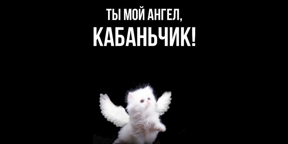 Открытка  для любимых и родных. кабаньчик, Ты мой ангел  