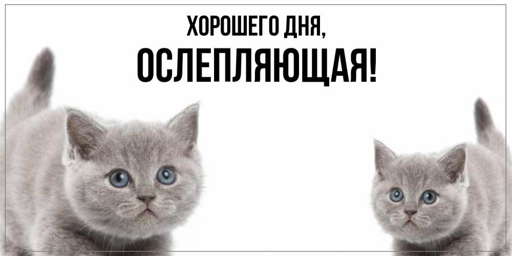 Открытка  для любимых и родных. ослепляющая, Хорошего дня  