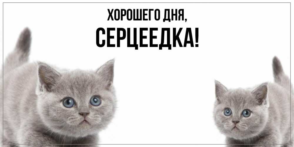 Открытка  для любимых и родных. серцеедка, Хорошего дня  