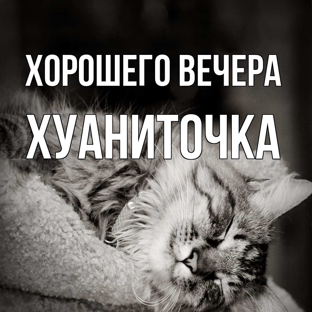 Открытка  для любимых и родных. хуаниточка, Хорошего вечера  