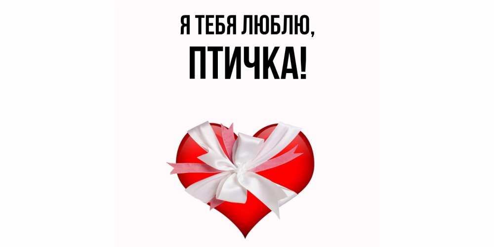 Открытка  для любимых и родных. птичка, Я тебя люблю  