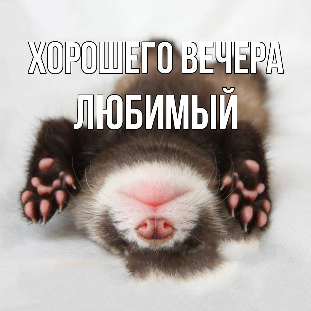 Открытка  для любимых и родных. Любимый, Хорошего вечера  