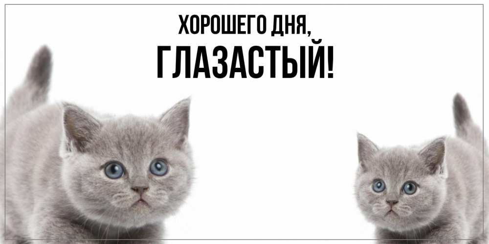 Открытка  для любимых и родных. глазастый, Хорошего дня  