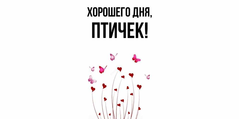 Открытка  для любимых и родных. птичек, Хорошего дня  