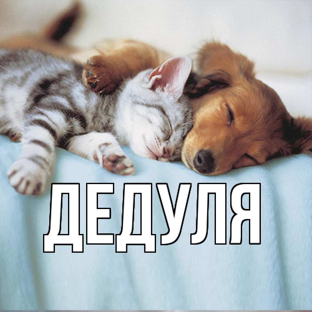 Открытка  для любимых и родных. Дедуля, Главная  