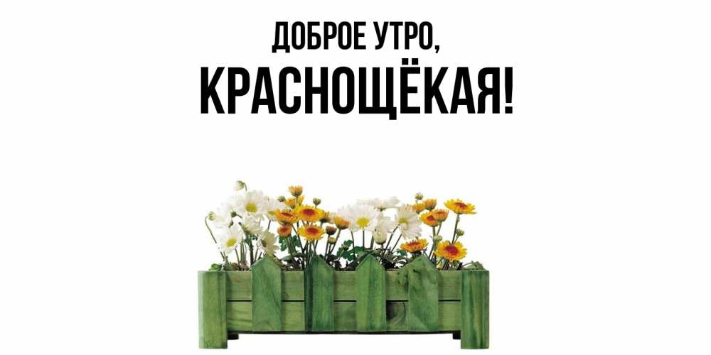 Открытка  для любимых и родных. краснощёкая, Доброе утро  