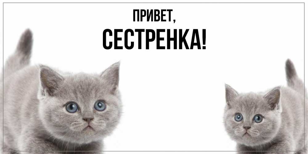 Открытка с именем, Сестренка, Привет