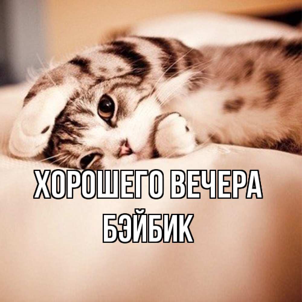 Открытка  для любимых и родных. бэйбик, Хорошего вечера  