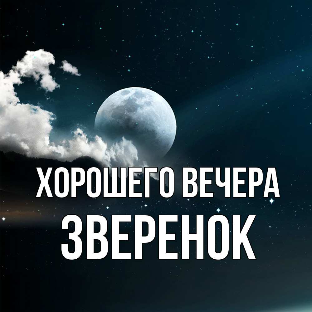 Картинка Хорошего вечера, звеpенок