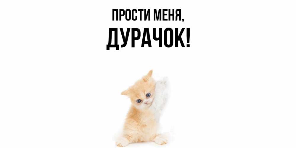 Открытка  для любимых и родных. дурачок, Прости меня  