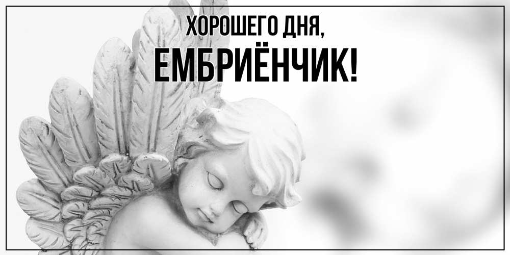 Открытка  для любимых и родных. ембриёнчик, Хорошего дня  