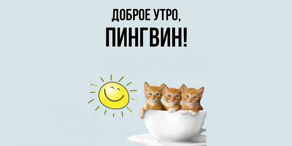 Картинка Доброе утро, пингвин
