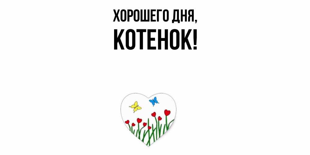 Картинка Хорошего дня, Котенок