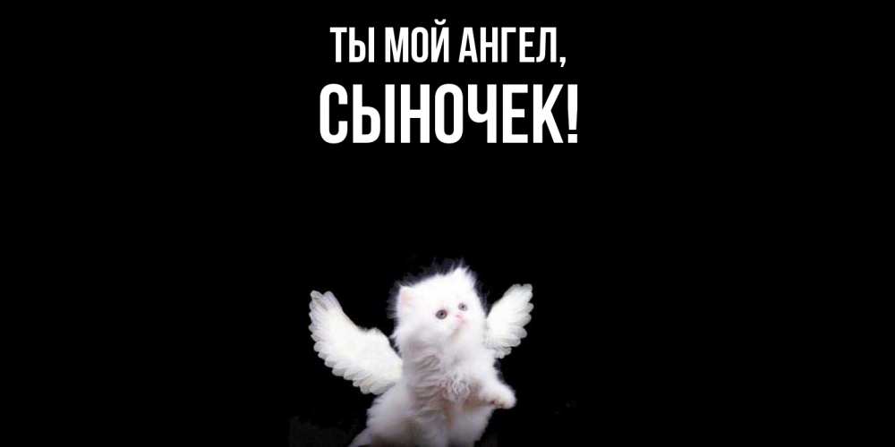 Открытка  для любимых и родных. Сыночек, Ты мой ангел  