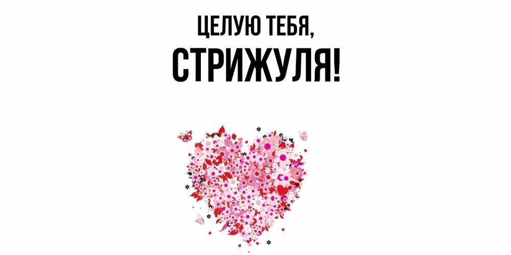 Картинка Целую тебя, стрижуля