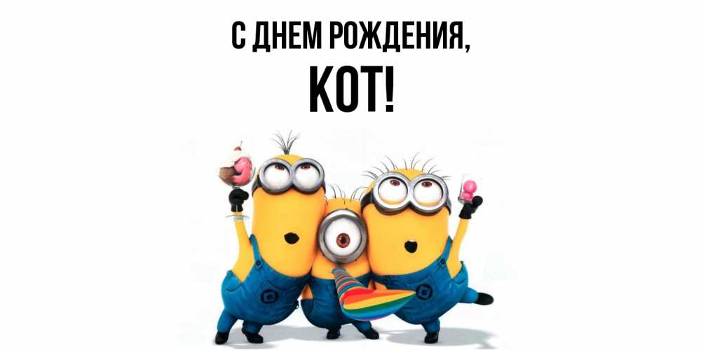 Картинка С днем рождения, кот