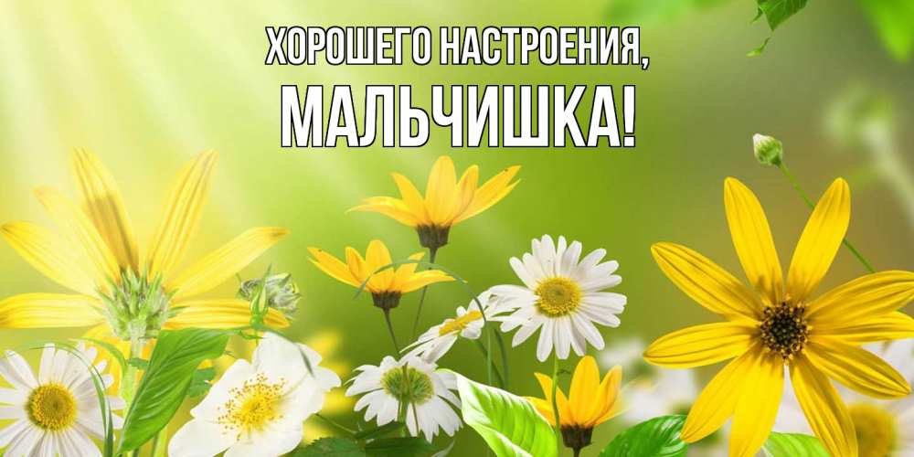 Открытка  для любимых и родных. мальчишка, Хорошего настроения  