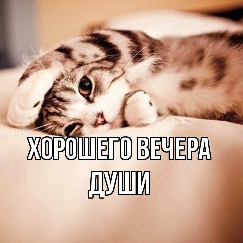 Открытка  для любимых и родных. души, Хорошего вечера  