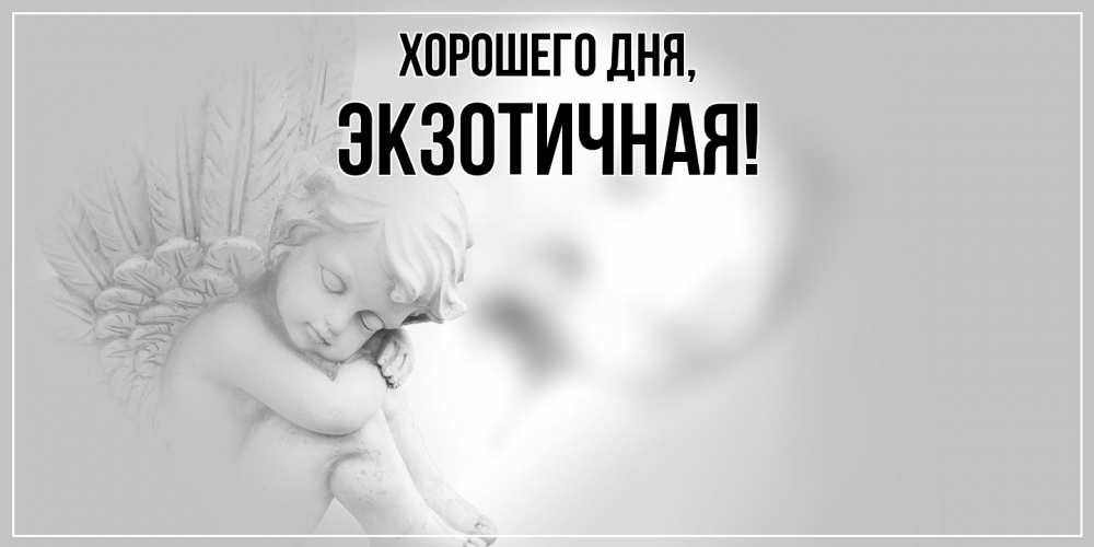 Открытка  для любимых и родных. экзотичная, Хорошего дня  