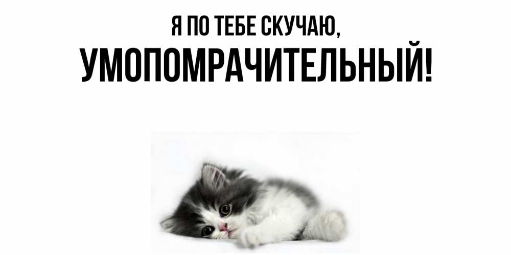 Открытка  для любимых и родных. умопомрачительный, Я по тебе скучаю  