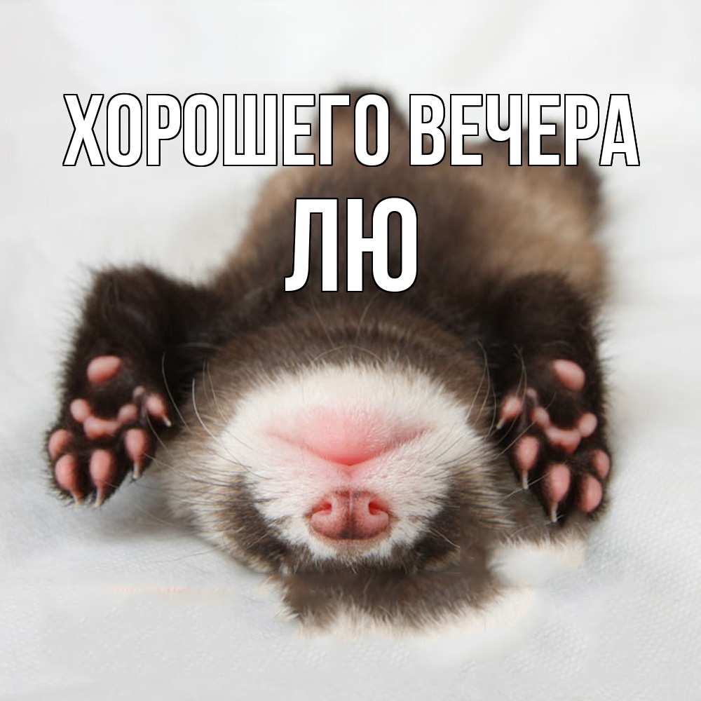 Открытка  для любимых и родных. лю, Хорошего вечера  