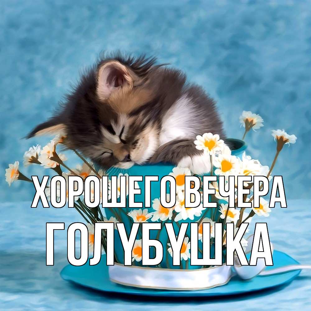 Открытка  для любимых и родных. голyбyшка, Хорошего вечера  