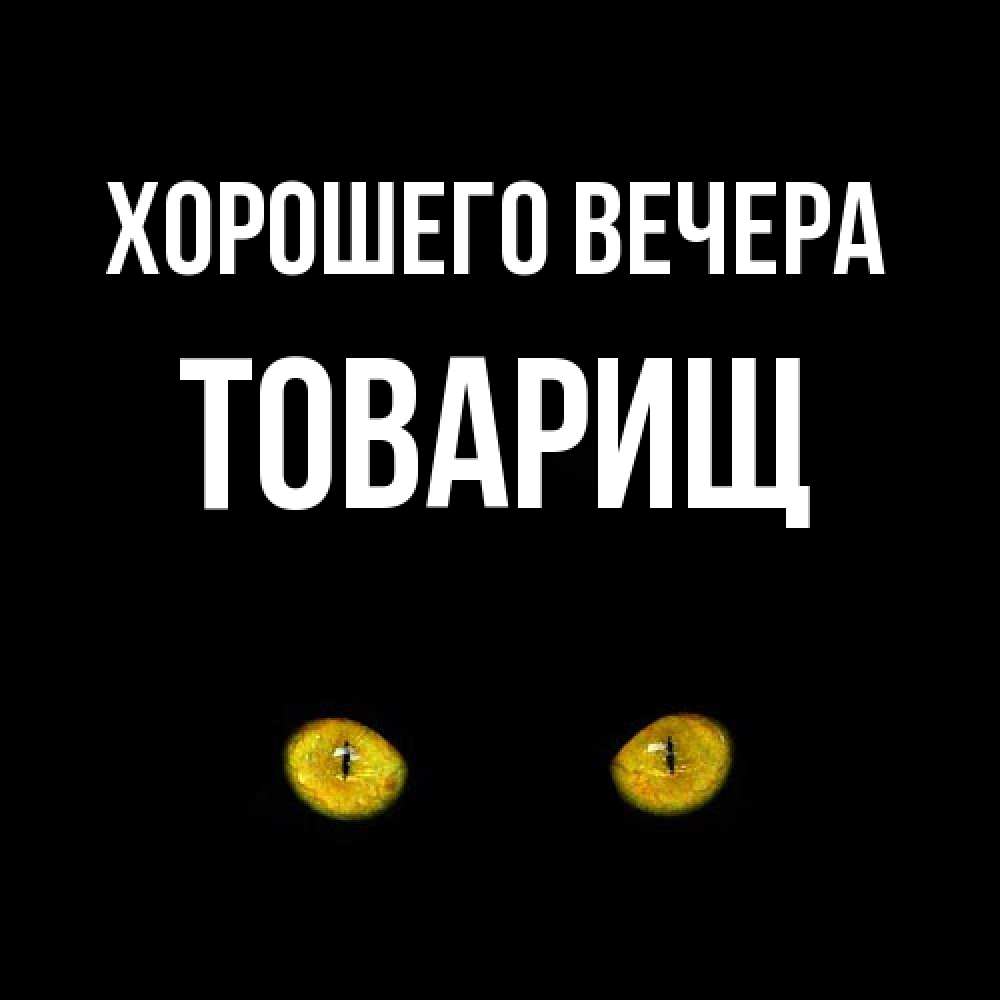 Картинка Хорошего вечера, Товарищ