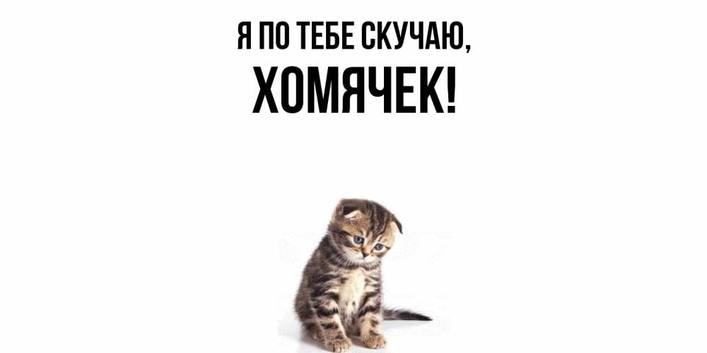 Картинка Я по тебе скучаю, хомячек