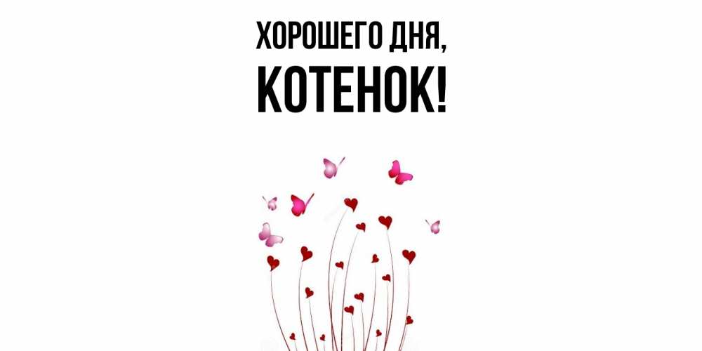 Картинка Хорошего дня, Котенок