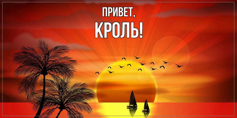 Открытка  для любимых и родных. кроль, Привет  